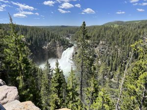 Read more about the article Grand Canyon of Yellowstone WY